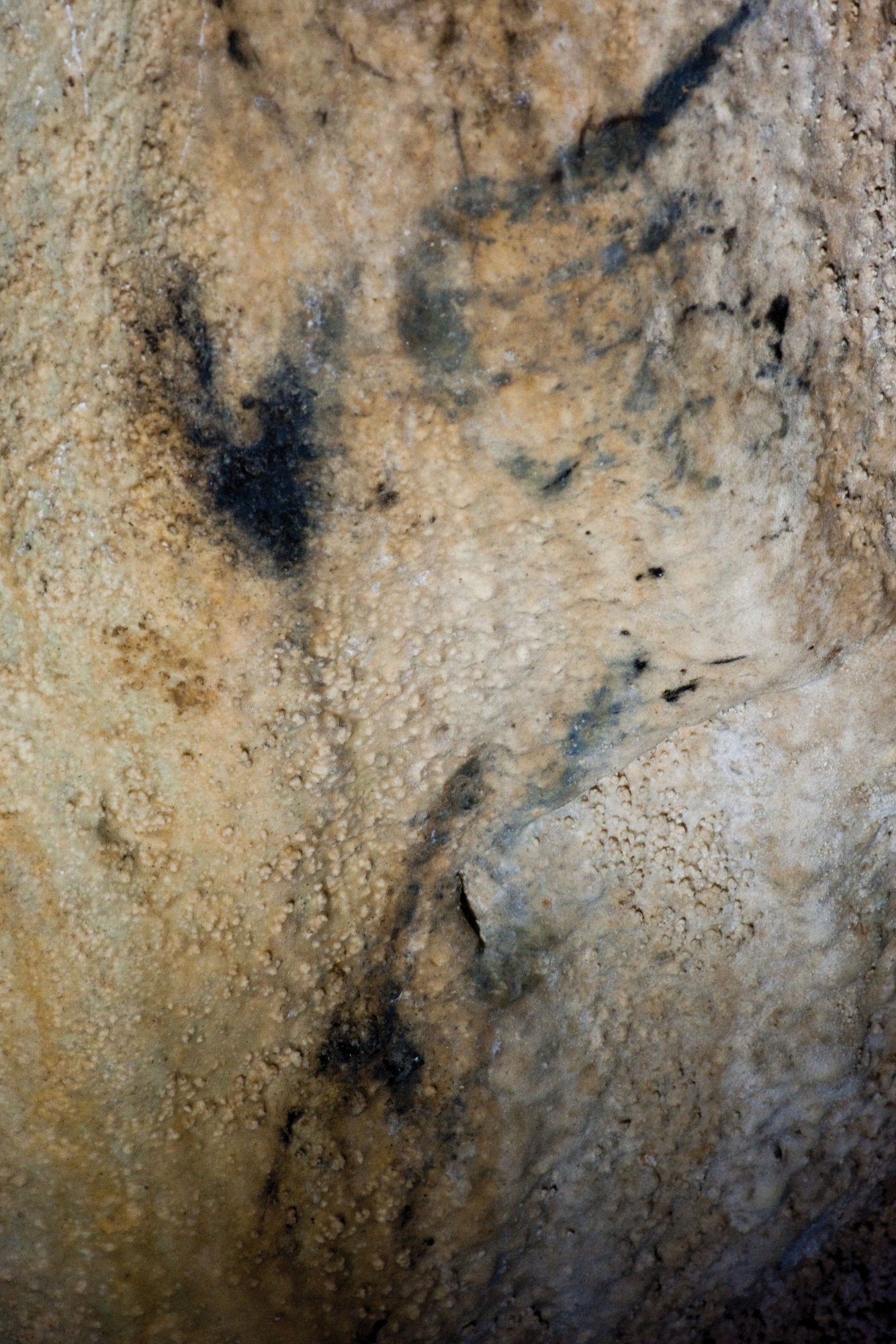 Kateřinská jeskyně - pravěká kresba objevená v roce 2023