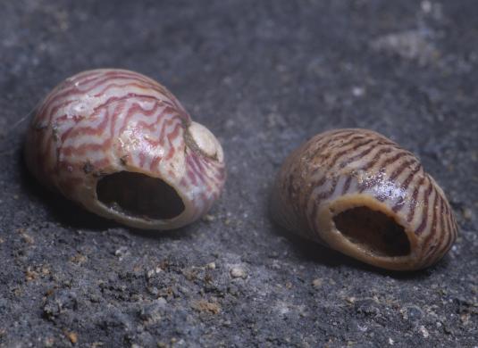 Archeologický výzkum v Kateřinské jeskyni 2024