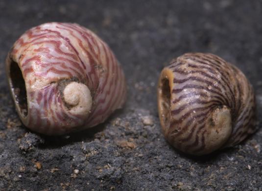 Archeologický výzkum v Kateřinské jeskyni 2024