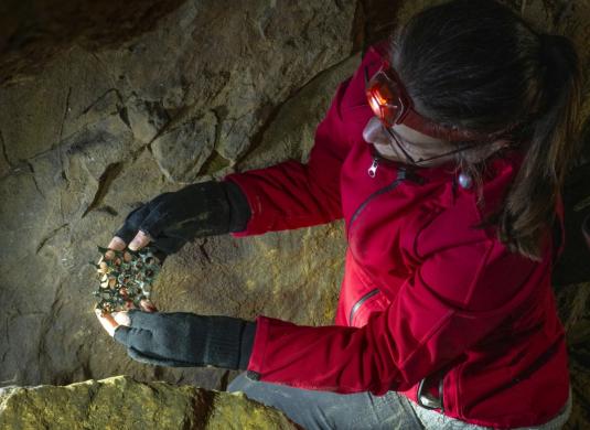 Archeologové našli v Kateřinské jeskyni další doklad penězokazectví