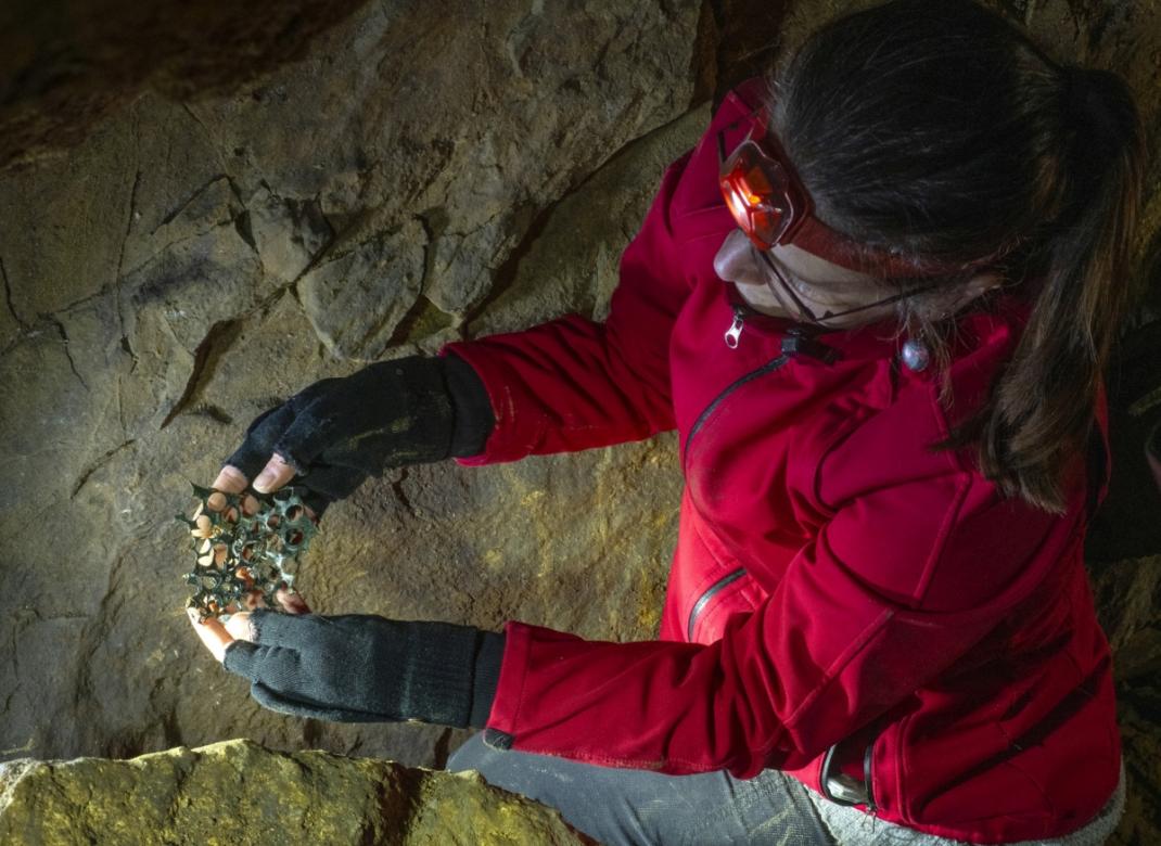 Archeologové našli v Kateřinské jeskyni další doklad penězokazectví
