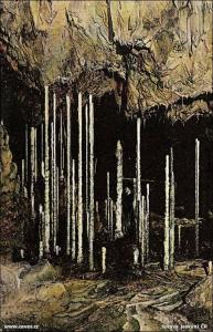 Kateřinská jeskyně - Bambusový lesík - objev z roku 1909