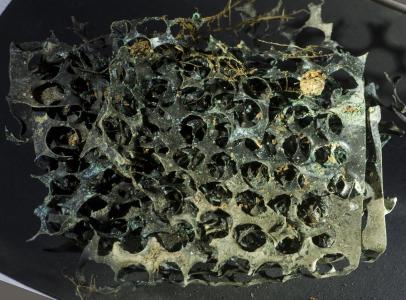 Archeologické nálezy z Kateřinské jeskyně, léto 2023 - zbytek penězokazecké dílny