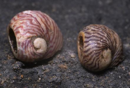 Archeologický výzkum v Kateřinské jeskyni 2024