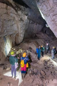 Sčítání netopýrů v jeskyních Kateřinské a Punkevních, únor 2025