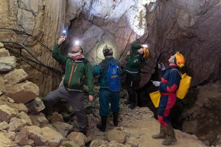 Sčítání netopýrů v jeskyních Kateřinské a Punkevních, únor 2025