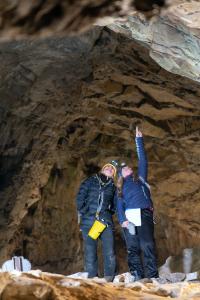 Sčítání netopýrů v jeskyních Kateřinské a Punkevních, únor 2025