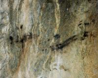 Kateřinská jeskyně - pravěká kresba objevená v roce 2023