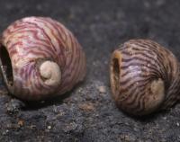 Archeologický výzkum v Kateřinské jeskyni 2024