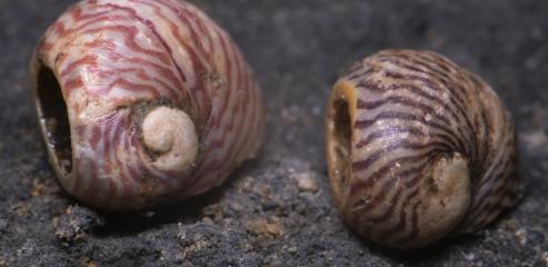 Archeologický výzkum v Kateřinské jeskyni 2024